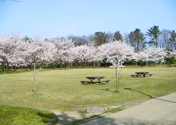 県民公園 新港の森