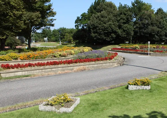 県民公園 新港の森 2
