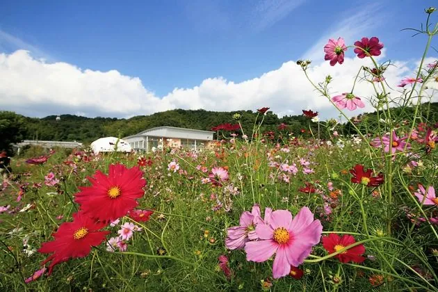下松スポーツ公園