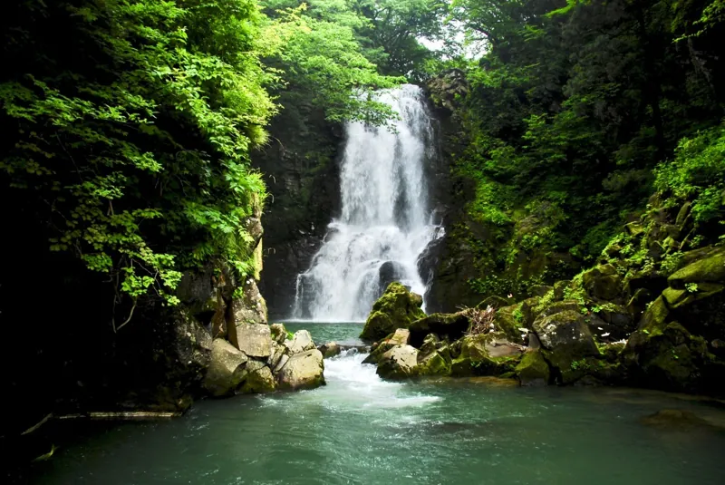 奈曽の白滝