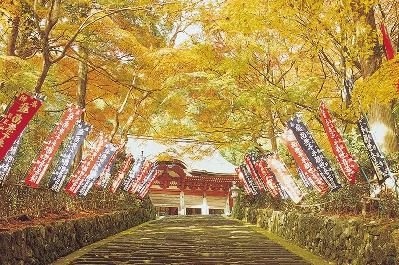 鰐淵寺