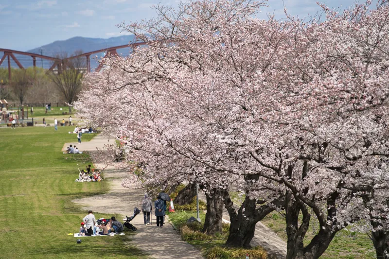 笠松みなと公園