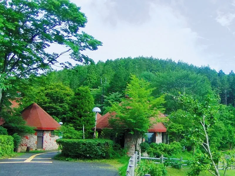 埼玉県県民の森
