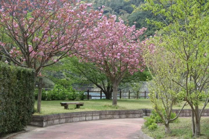 白良ヶ浜万葉公園