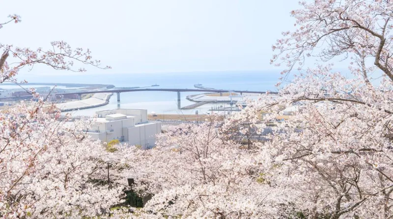 日和山公園 2