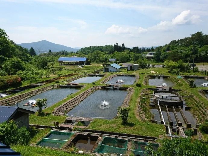 蒜山塩釜養魚センター
