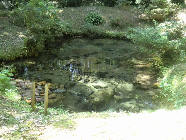 蒜山塩釜養魚センター 3