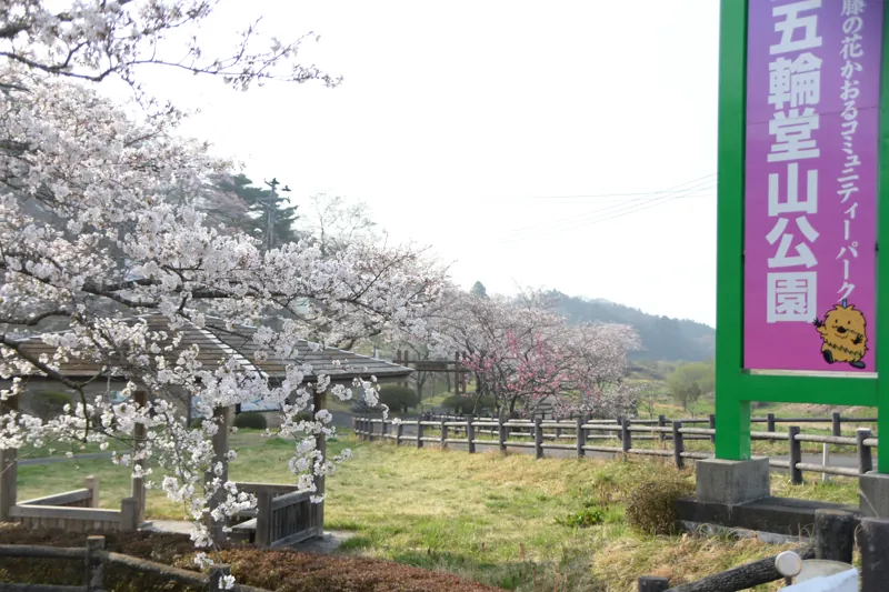 瀬峰五輪堂山公園 2