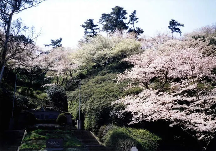 下田公園(城山公園)