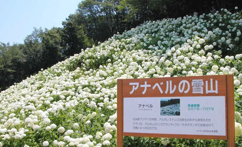 秋川渓谷 3