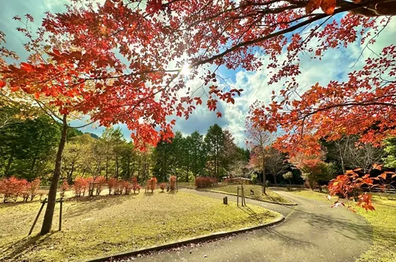 新田ふるさと村 3
