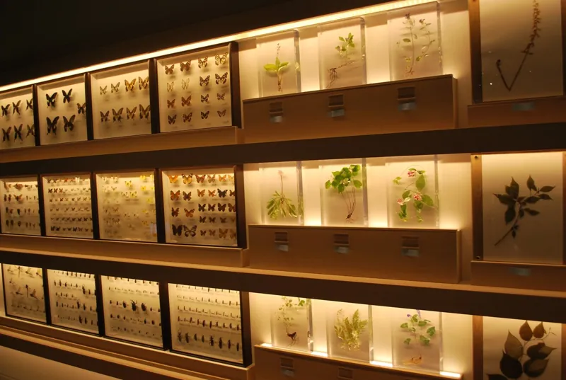 熊本博物館 2