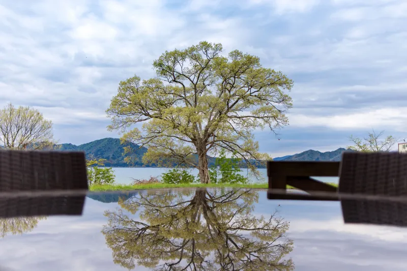 湖畔の杜レストランORAE 1