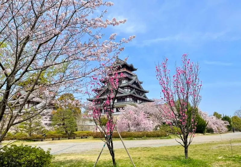 伏見桃山城運動公園 2