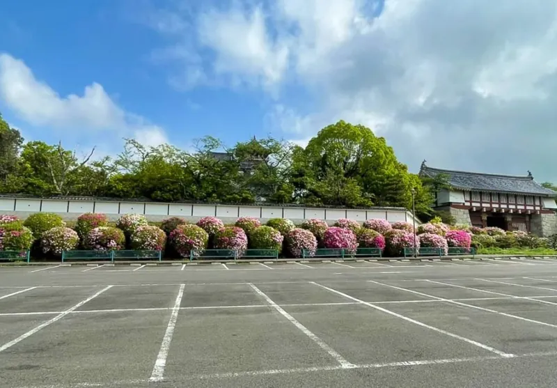 伏見桃山城運動公園 3