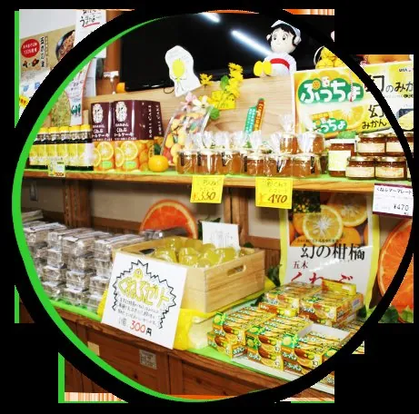 道の駅 子守唄の里五木 1
