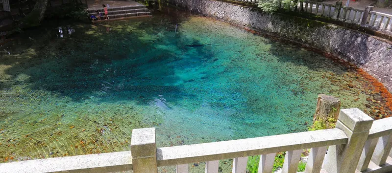 秋芳洞 2