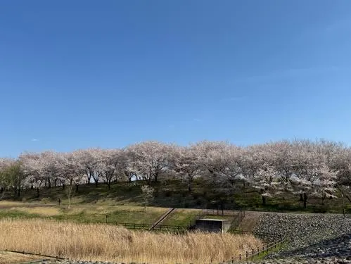 太田市北部運動公園（八王子山公園） 3