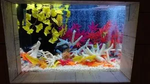 久慈地下水族科学館 もぐらんぴあ 2