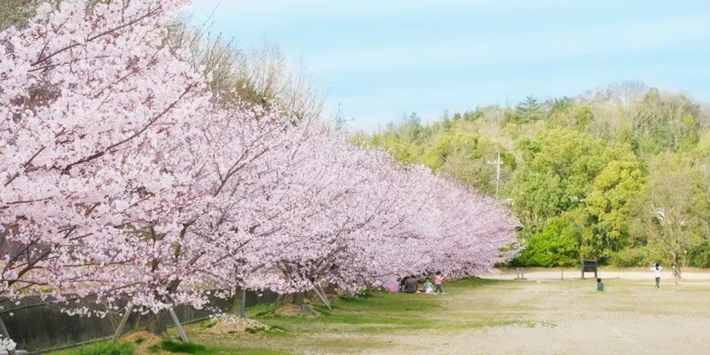 岡山県青少年農林文化センター三徳園