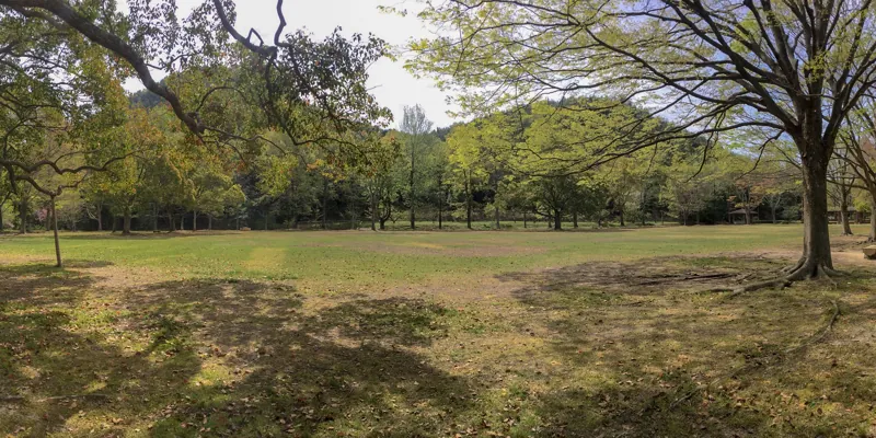 岡山県青少年農林文化センター三徳園 2