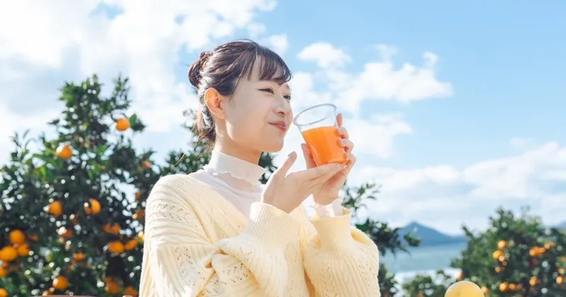 尾道柑橘工房SETODA 1