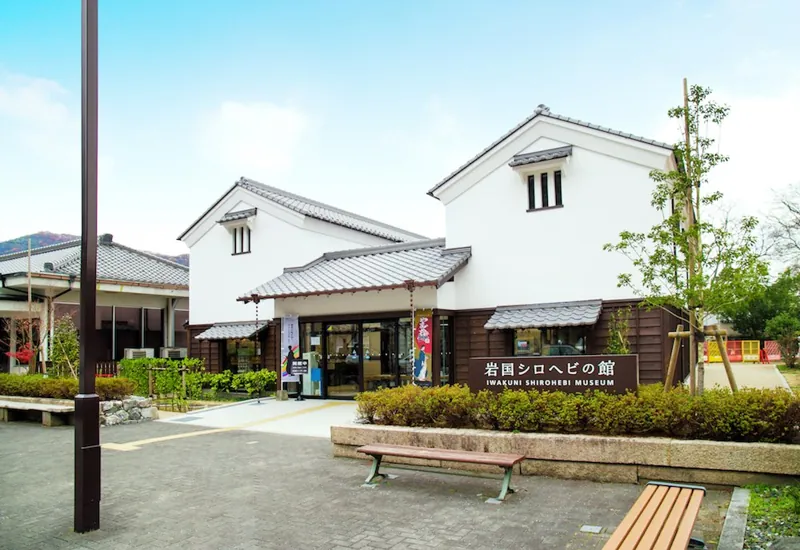 岩国シロヘビの館 2