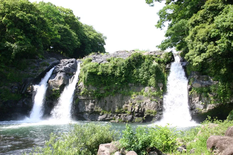 裾野市中央公園