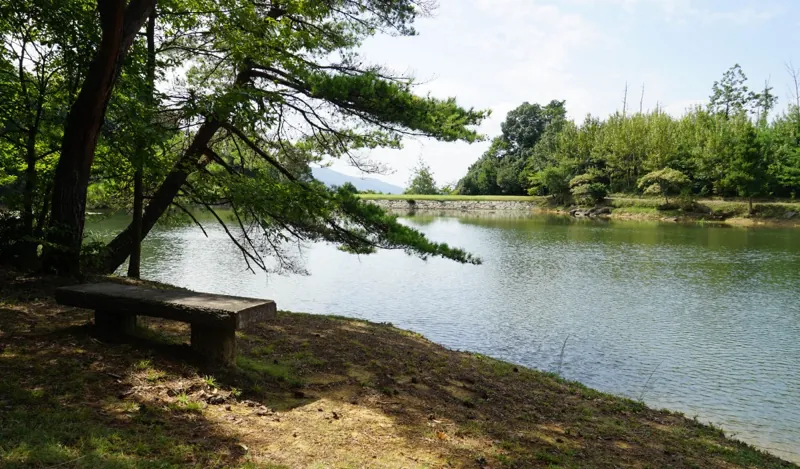亀島キャンプ場 2