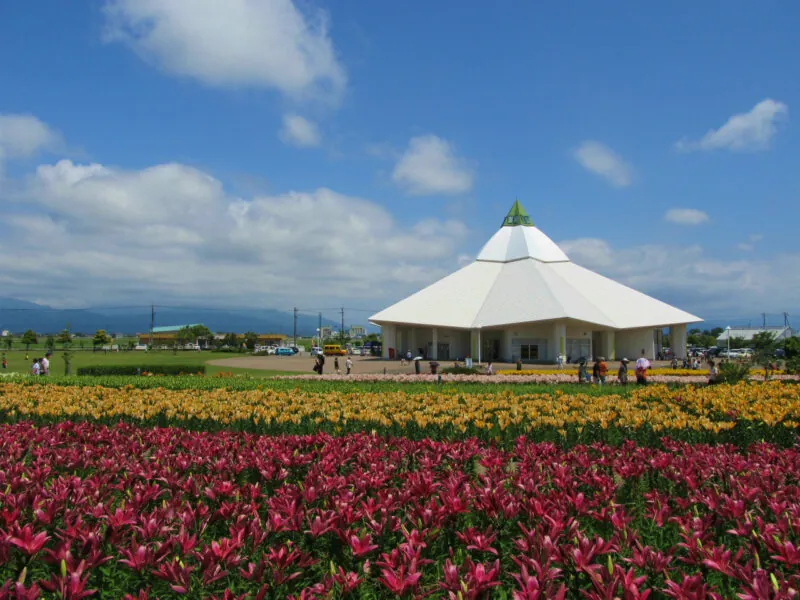 ゆりの里公園 ユリーム春江