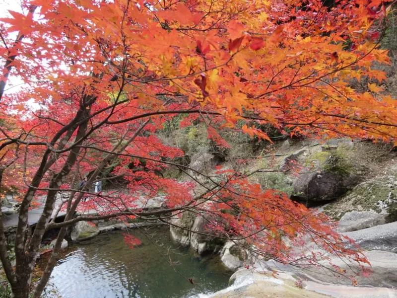 三郎の滝 2