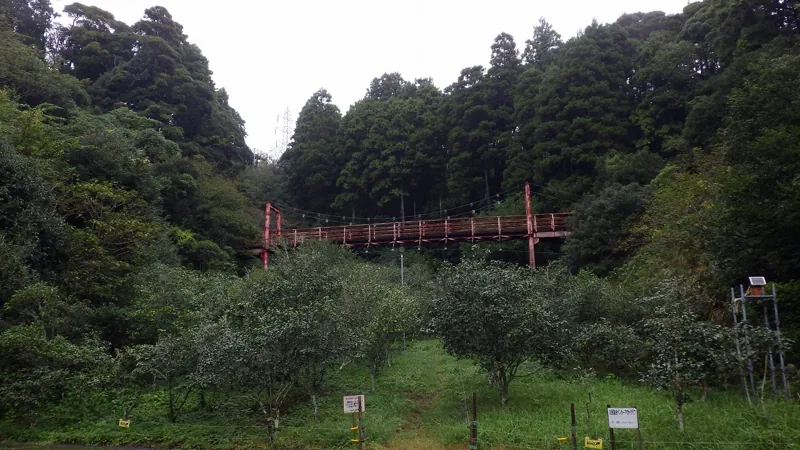 椿公園