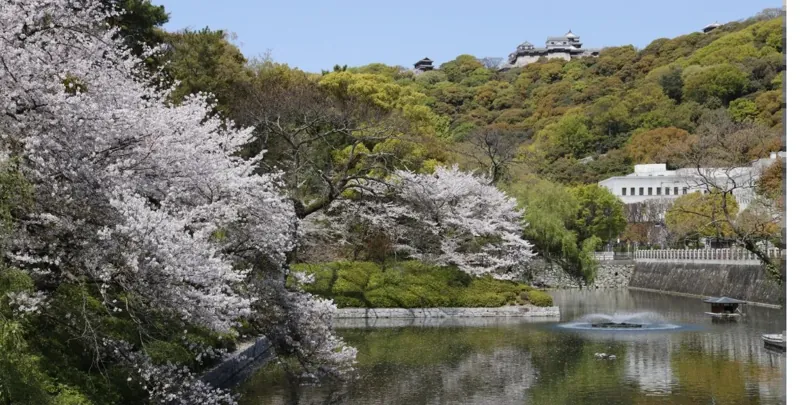 松山城 2