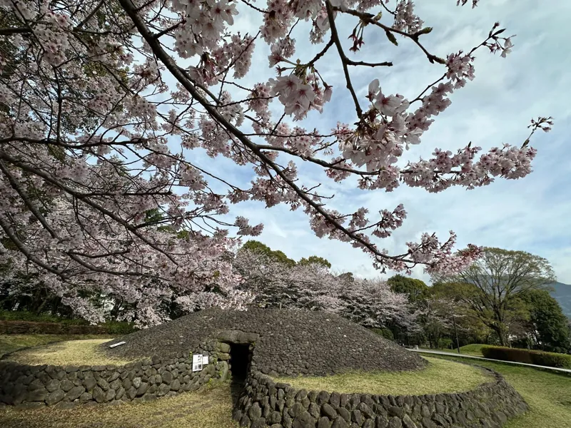 はだの歴史博物館