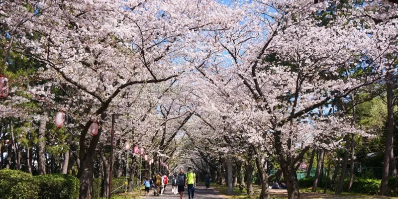 辰巳の森海浜公園
