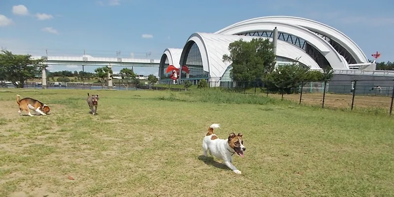 辰巳の森海浜公園 2