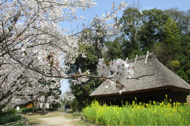 日本民家集落博物館