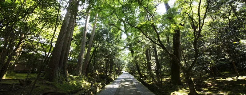 那谷寺