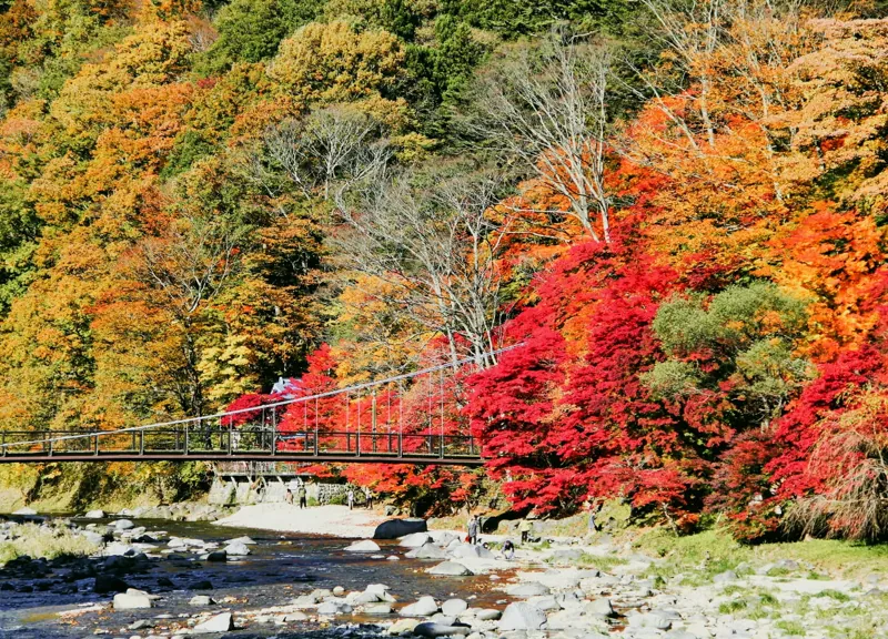 紅の吊橋