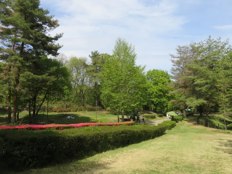 茶臼山恐竜園 3
