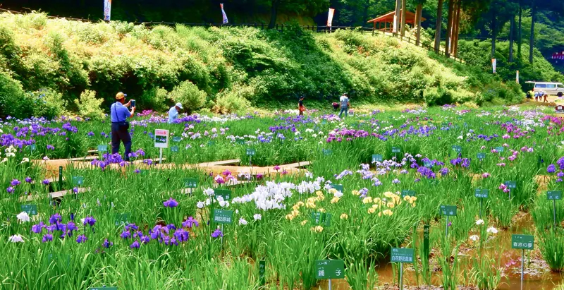 県民公園 頼成の森