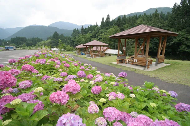 BBQハウス四季の森 1