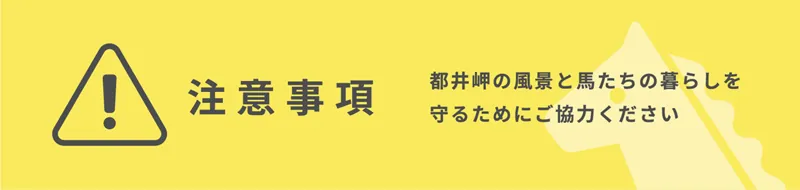都井岬