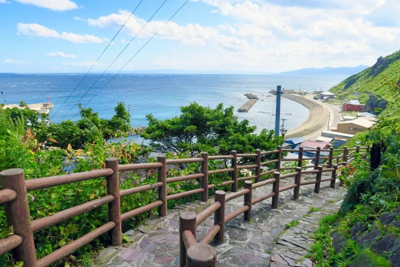 階段国道339号 1