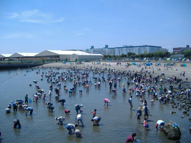 かわさきの浜