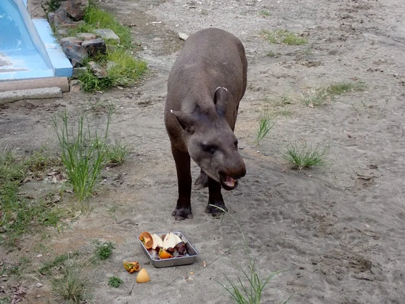 鹿児島市平川動物公園
