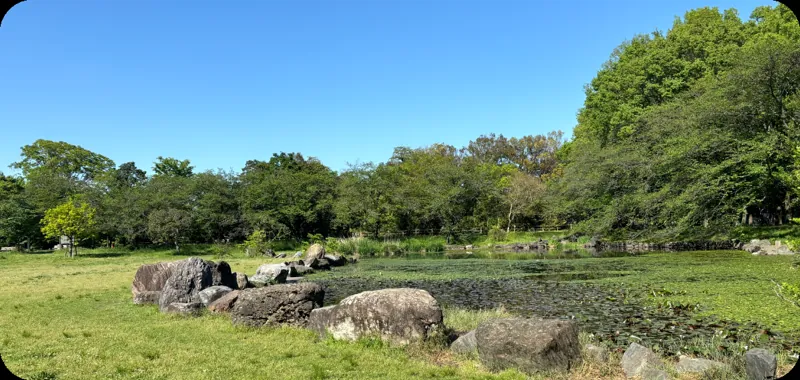 見沼氷川公園