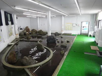 なぎさ水族館