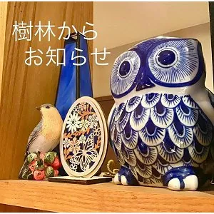おうちカフェ 樹林 1