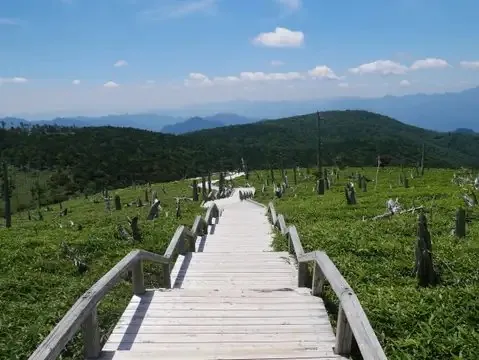 上北山温泉 薬師湯(フォレストかみきた) 2